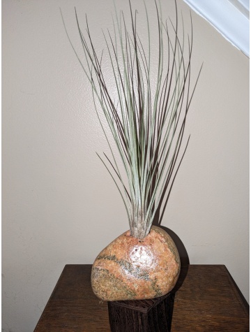 lake Huron Unakite Orange/Green with a little red rock(Air plant included)